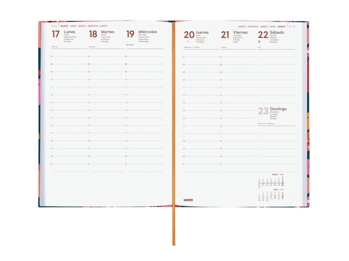 Agenda 2025 Dynamic Berlin Y10 140X204Mm Semana Vista Vertical Tulip Finocam 624041925 312025