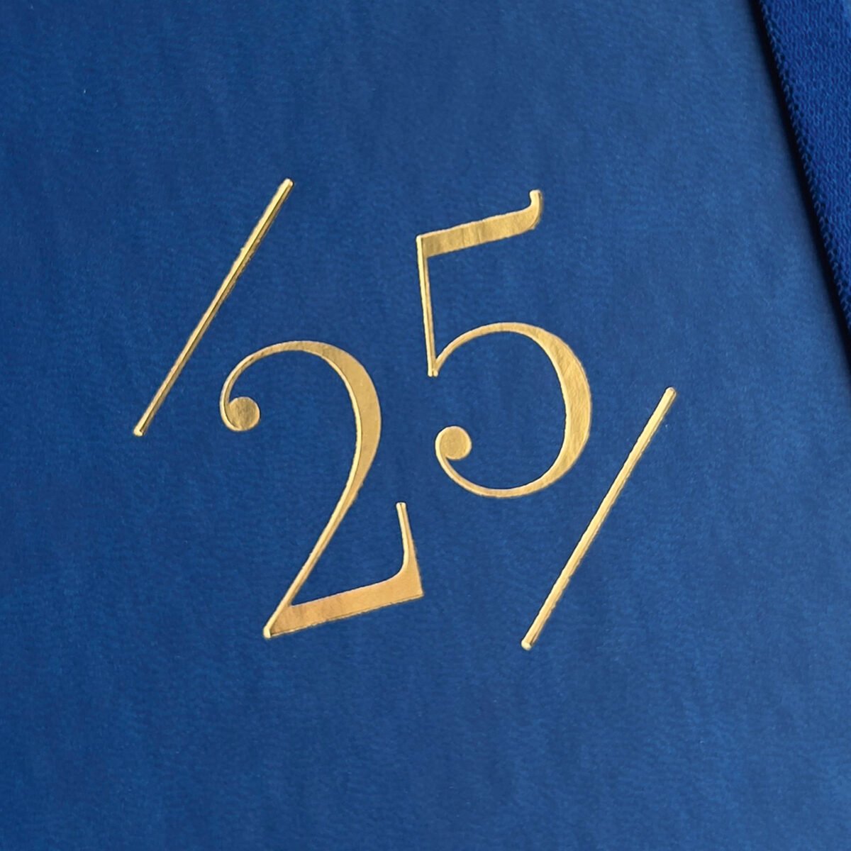 Agenda 2025 Dynamic London Y10 140X204Mm Dia Pagina Azul Finocam 625320125 312093