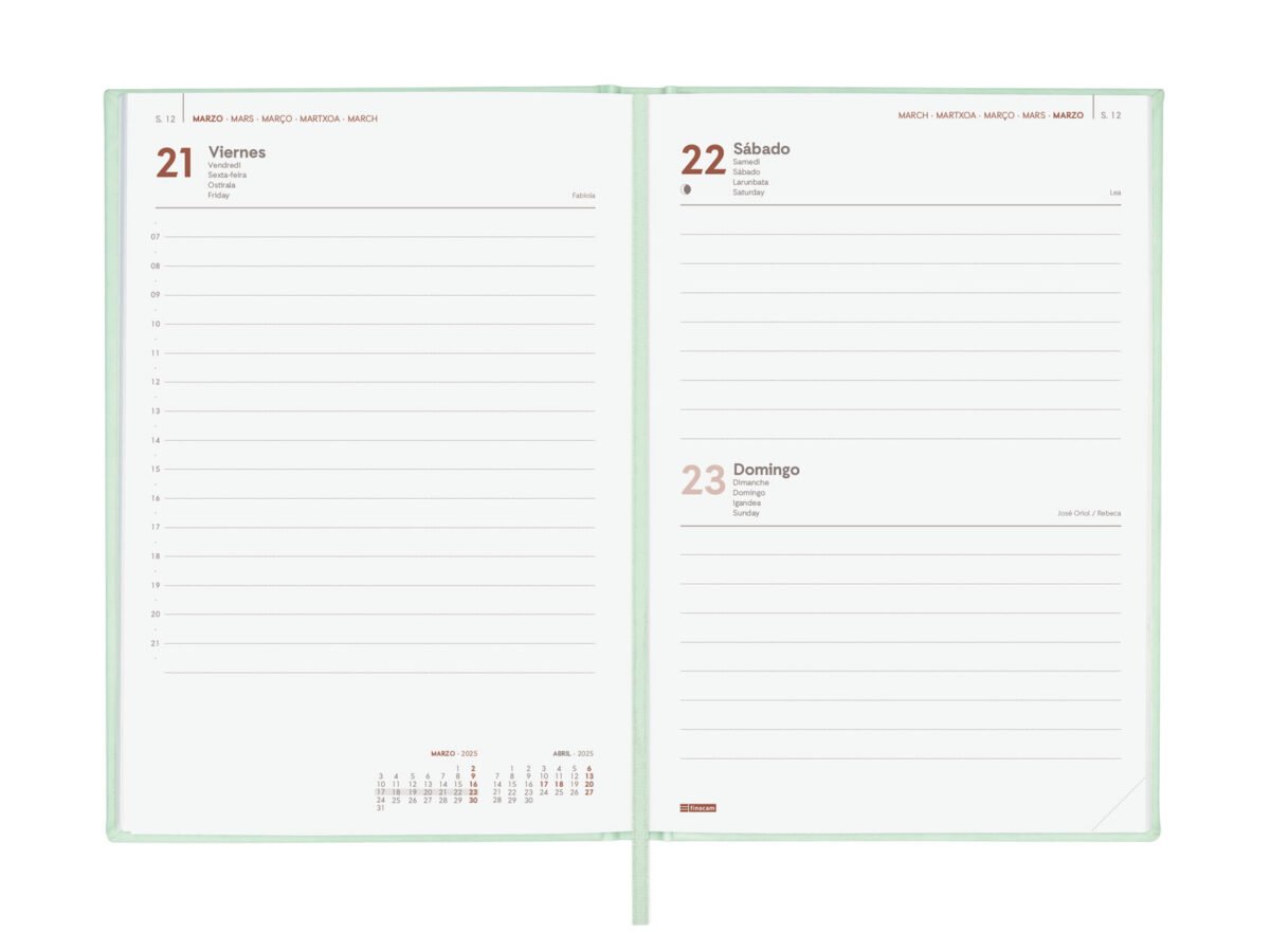 Agenda 2025 Dynamic London Y10 140X204Mm Dia Pagina Menta Finocam 625320425 312119