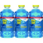 Pine-Sol CloroxPro Multi-Surface Cleaner Concentrated, Sparkling Wave Scent, 80 oz Bottle, 3/Carton