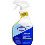 CloroxPro Clean-Up Disinfectant Cleaner with Bleach, 32 oz Smart Tube Spray