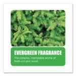 Big-D Extra Duty Urinal Screen with Non-Para Block, Evergreen with Enzymes Scent, White, Dozen - Image 4