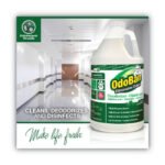 OdoBan Concentrated Odor Eliminator, Eucalyptus, 1 gal Bottle, 4/Carton - Image 3