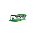 Marcal Perforated Kitchen Towels, White, 2-Ply, 9 x 11, 85 Sheets/Roll, 30 Rolls/Carton - Image 2